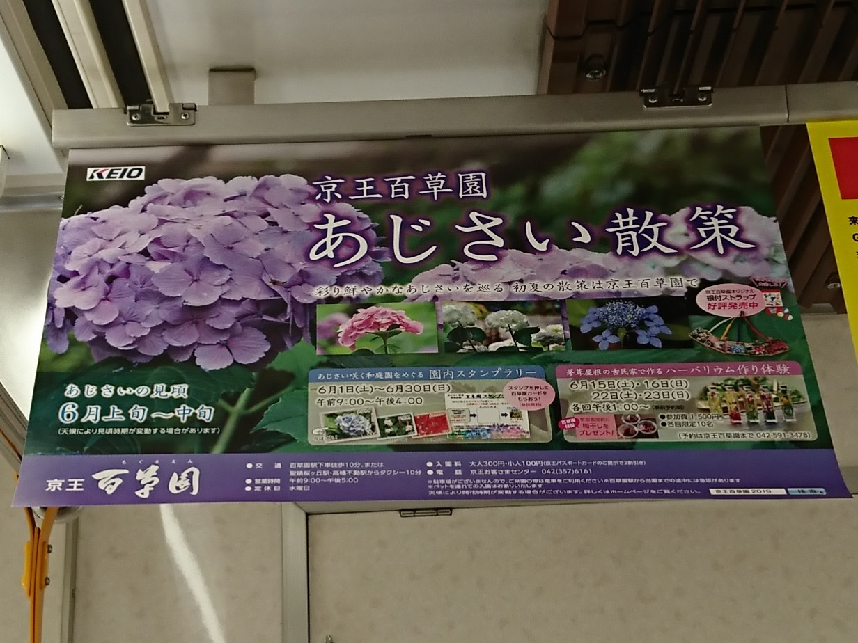 2019年6月京王百草園のあじさい散策の中刷り広告