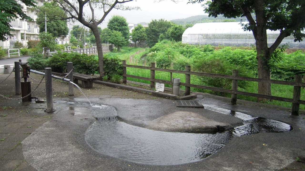 地下水が自噴する平山東公園