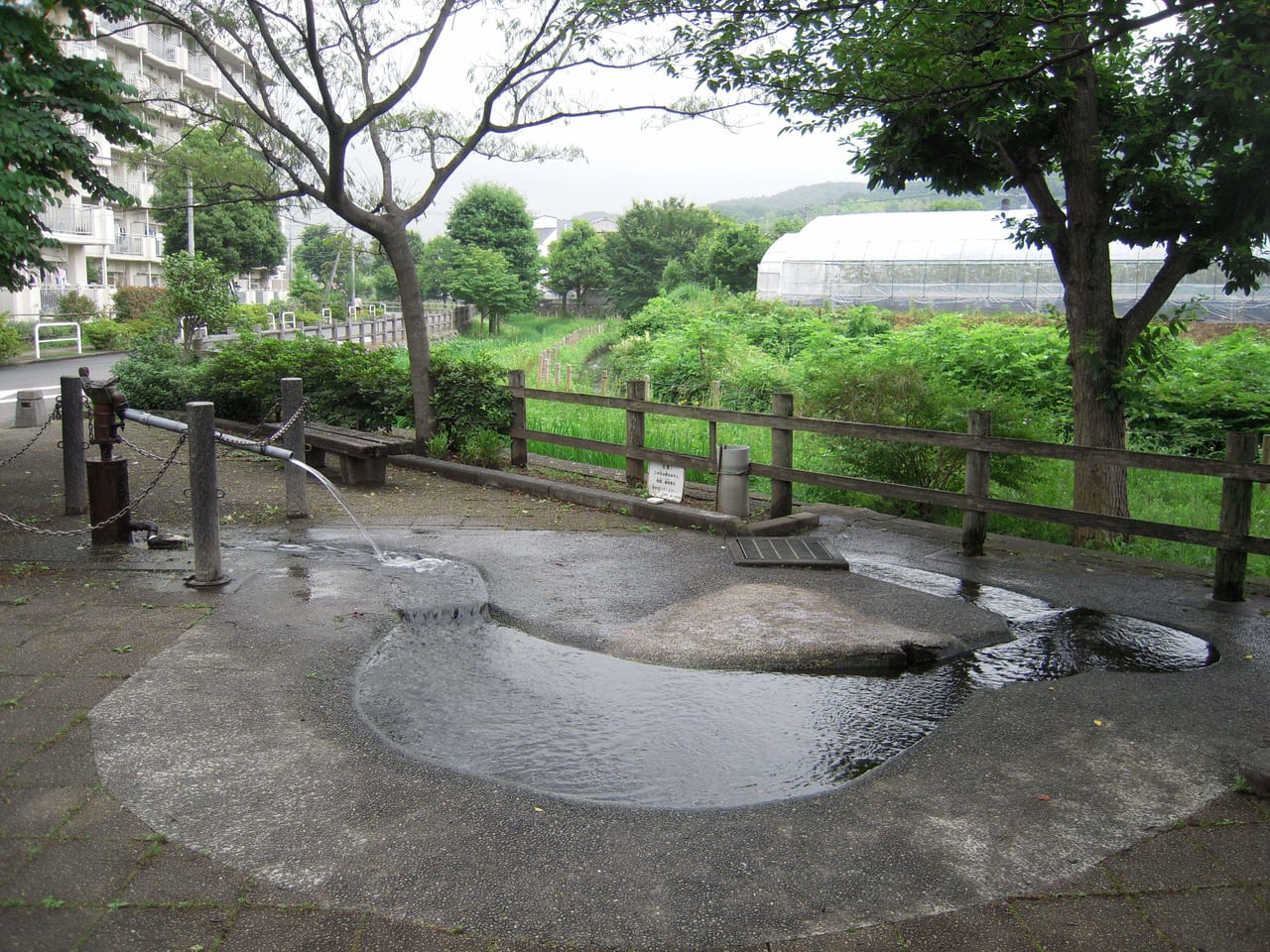 地下水が自噴する平山東公園