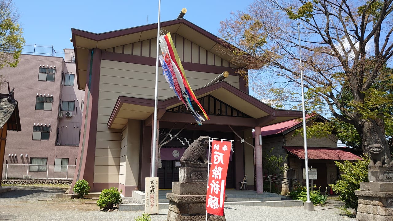 八坂神社の鯉のぼり