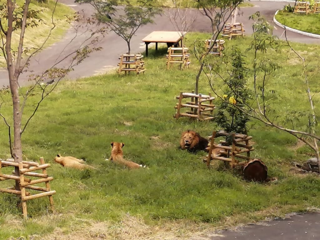 多摩動物公園