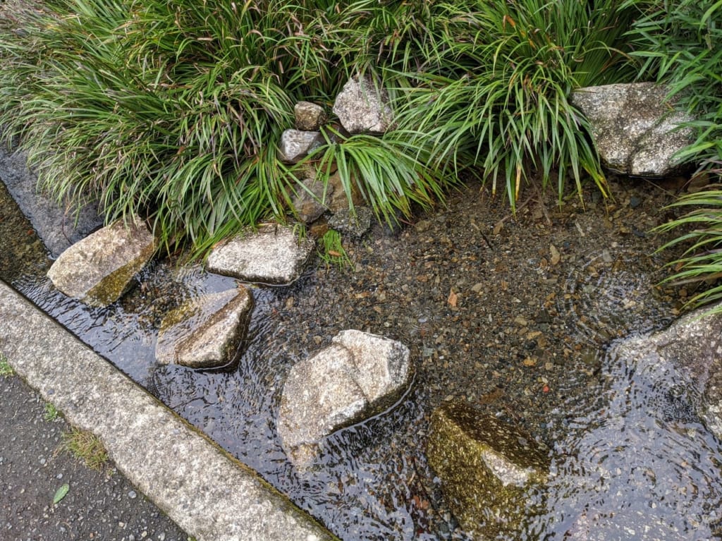 中央図書館下湧水