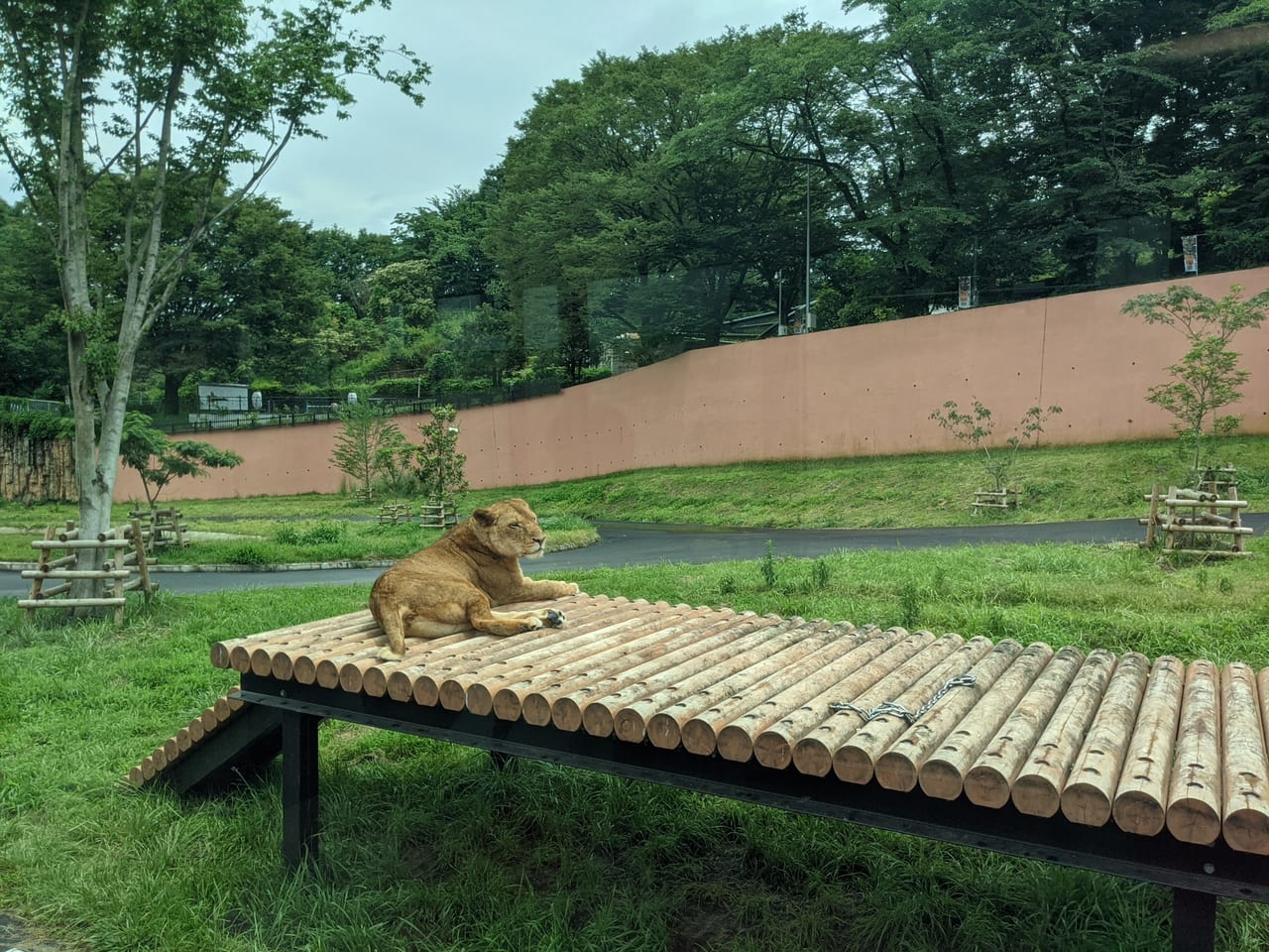 多摩動物公園