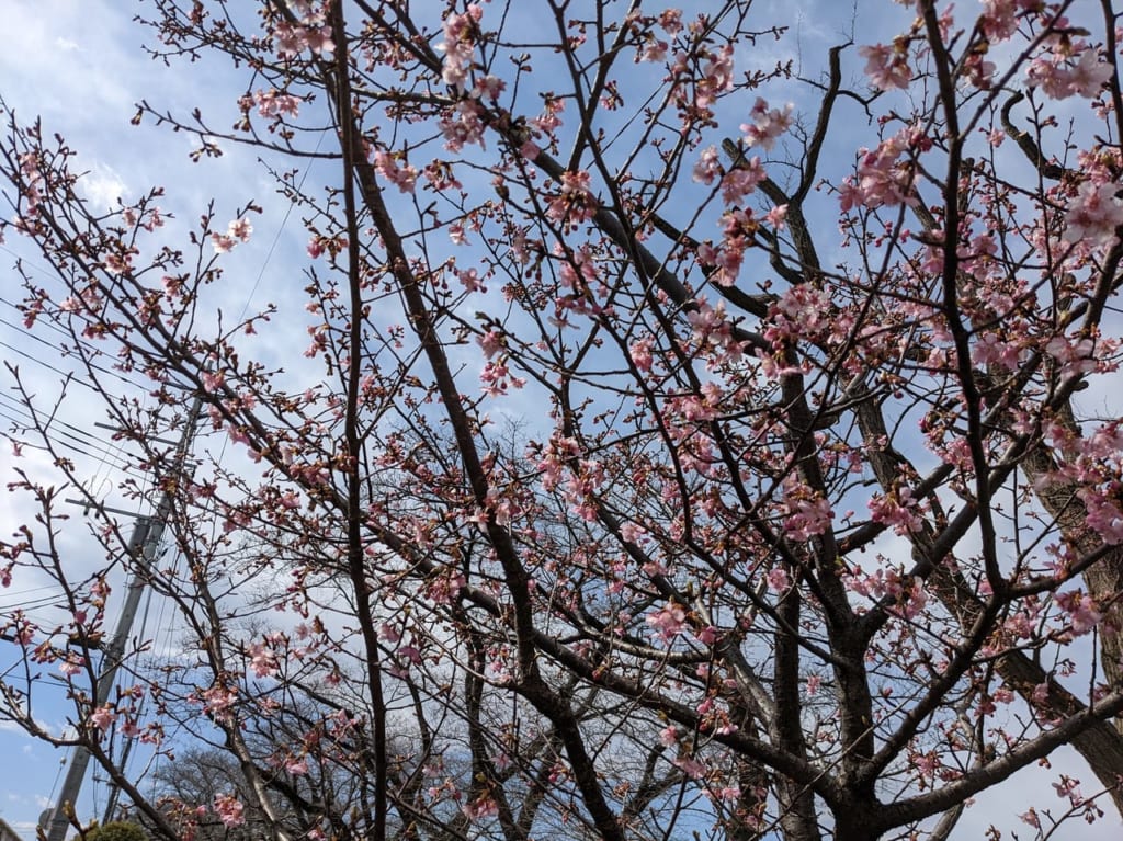 向川原堤緑道