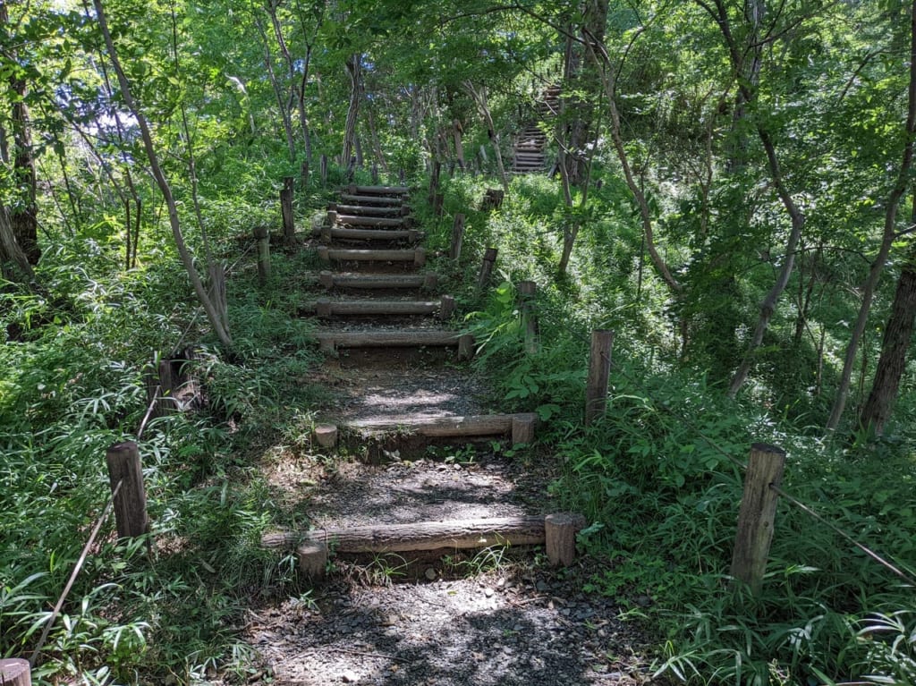 南平丘陵公園