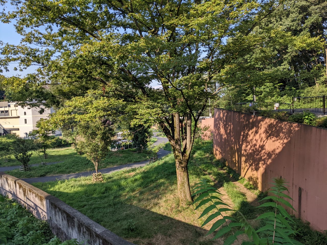 多摩動物公園ナイトズー