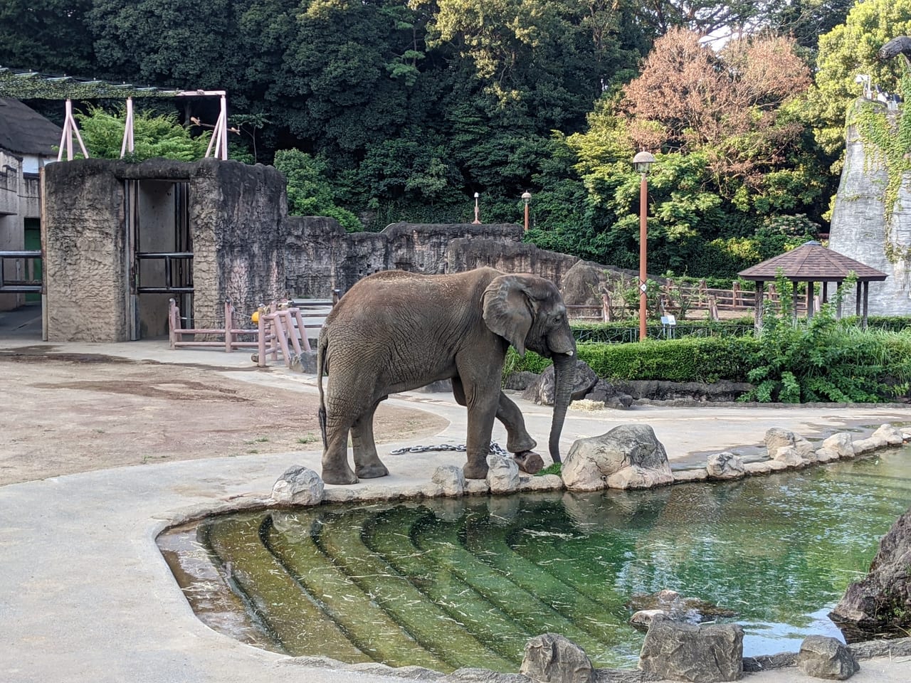 多摩動物公園ナイトズー