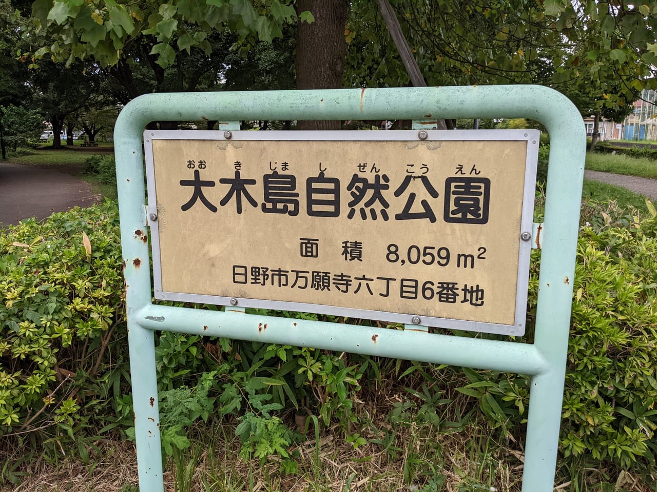 大木島自然公園　彼岸花2022