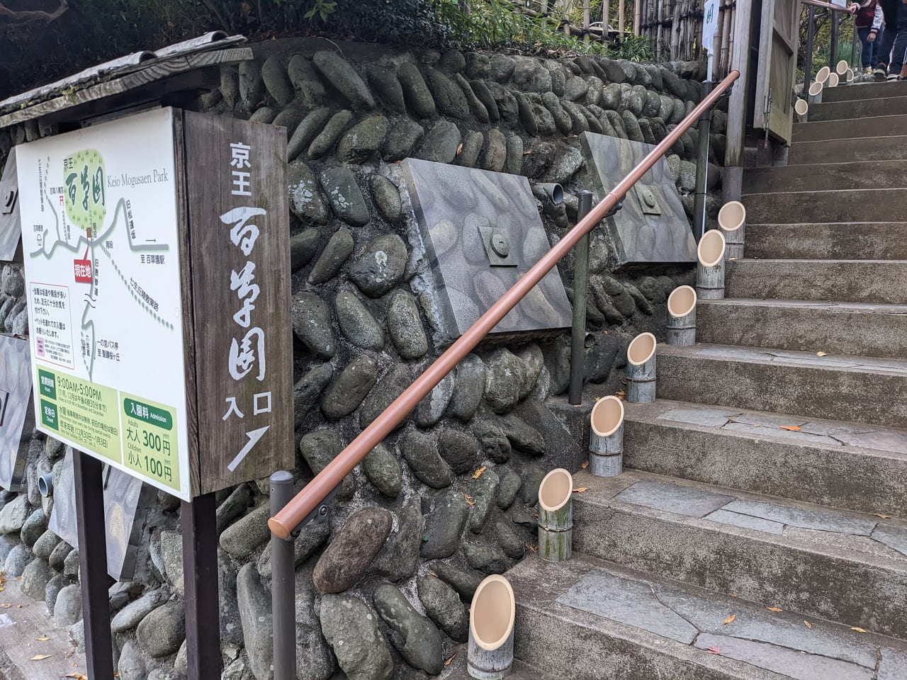 京王百草園紅葉祭りライトアップ2022