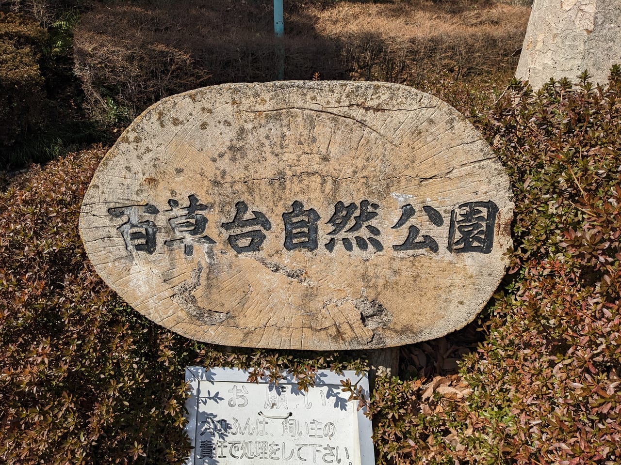 百草台自然公園