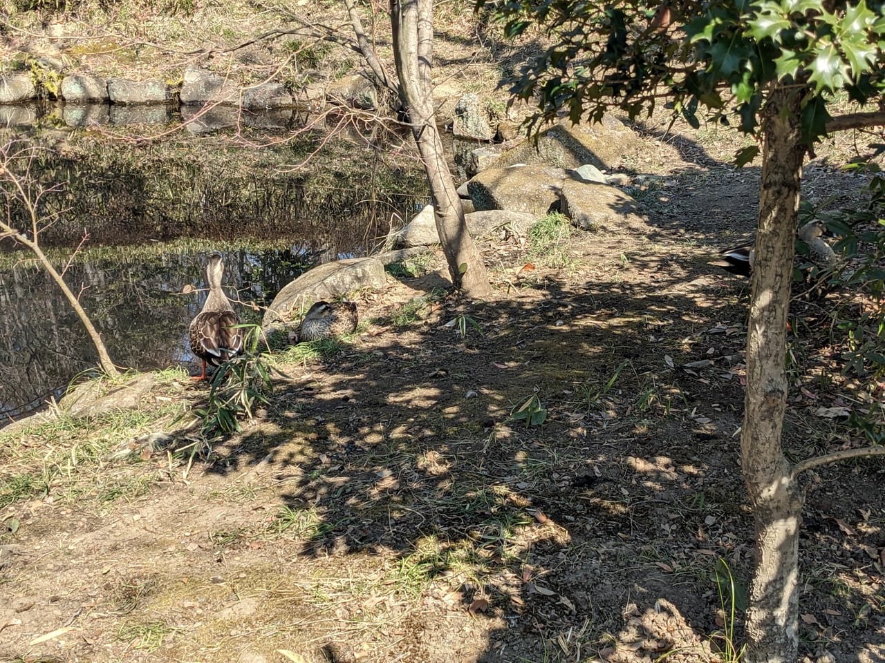 百草台自然公園