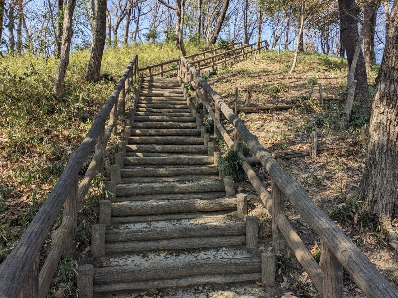 百草台自然公園