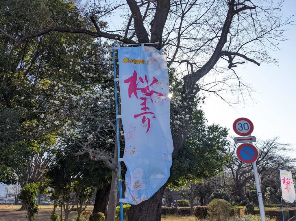 旭が丘中央公園桜まつり2023