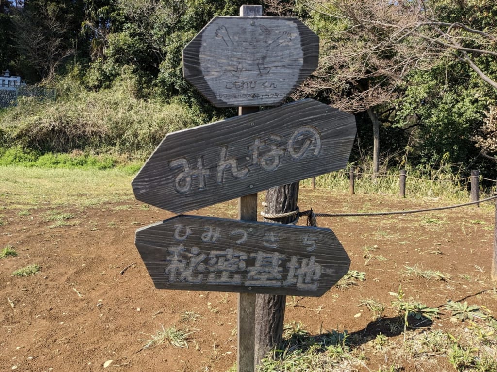 こもれびの道