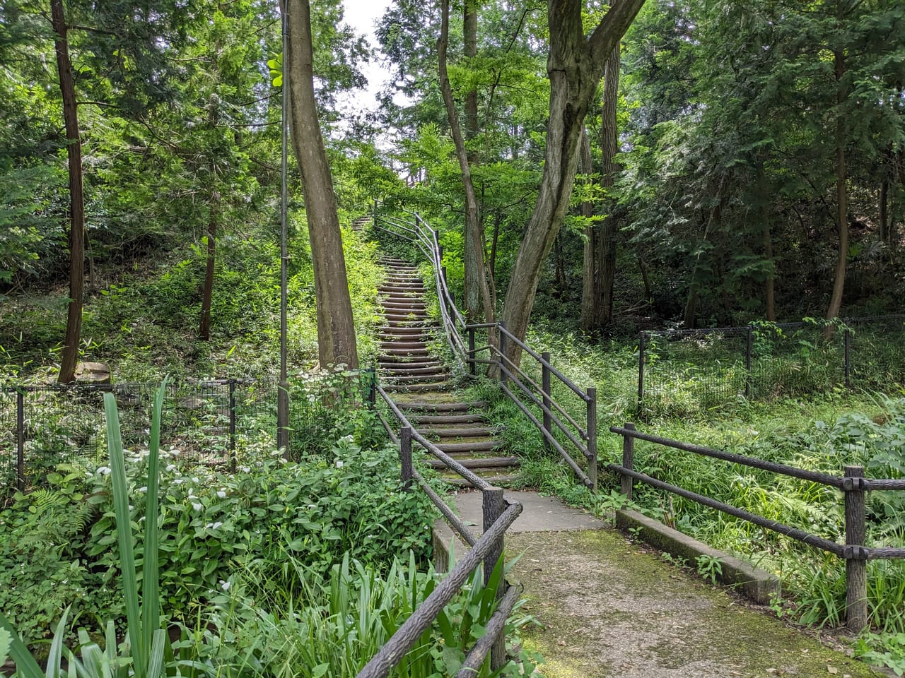 百草三方の森森緑地