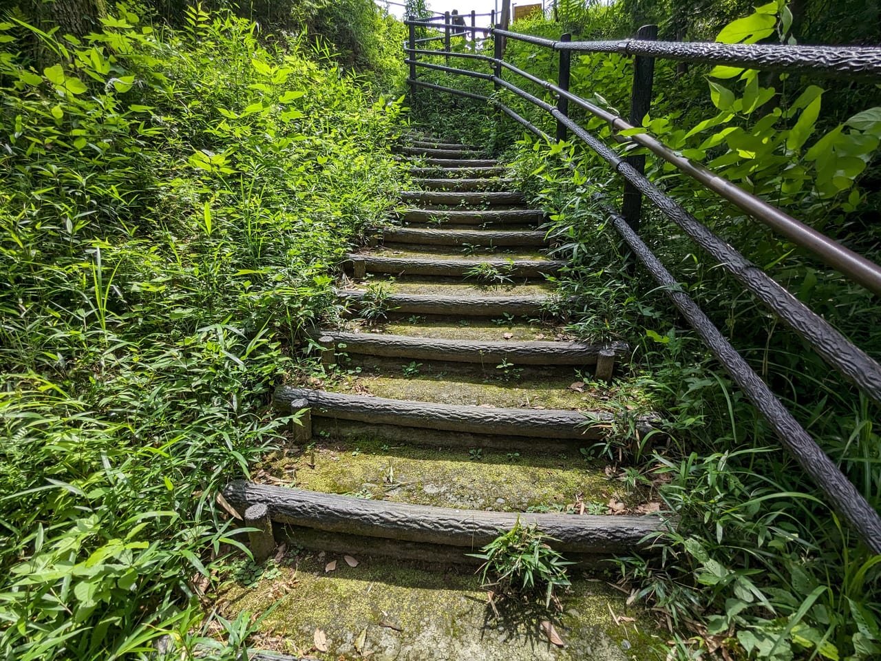 百草三方の森森緑地