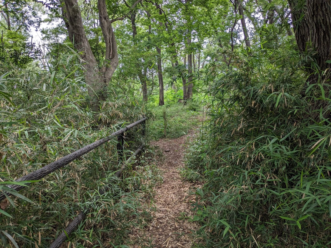 百草三方の森森緑地