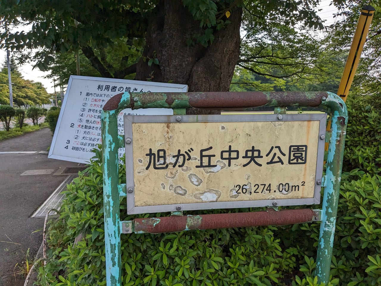 旭が丘中央公園