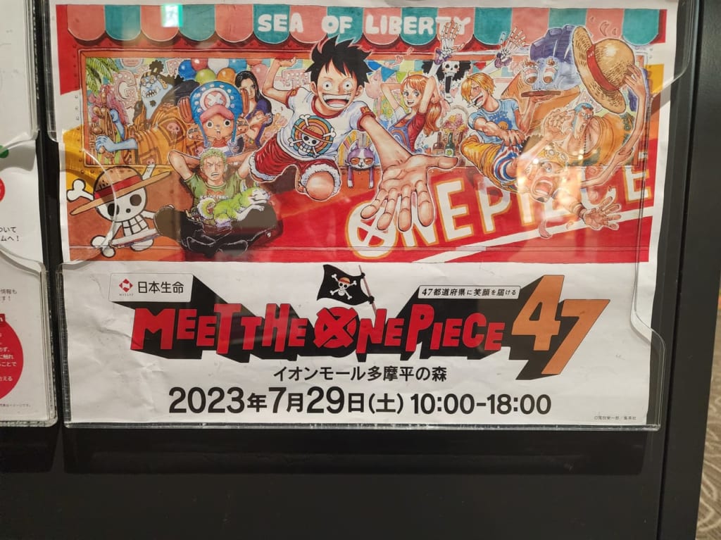 MEET THE ONE PIECE47