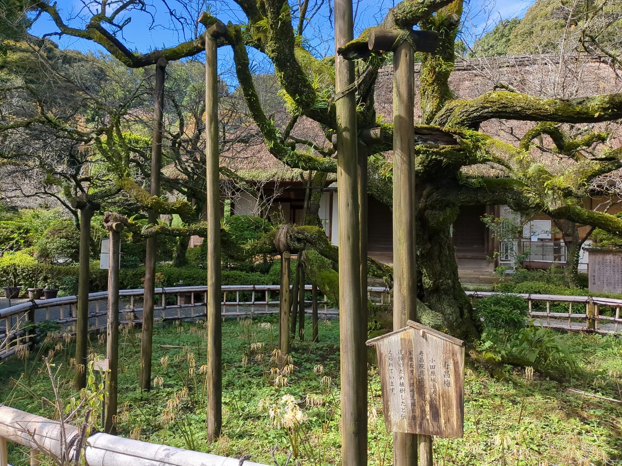 京王百草園