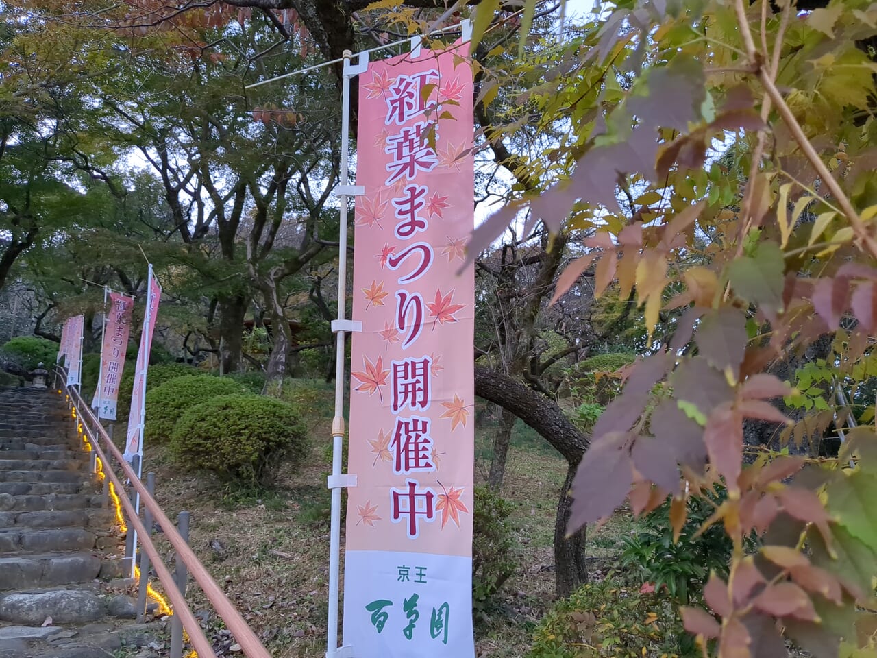 京王百草園　紅葉まつり2023