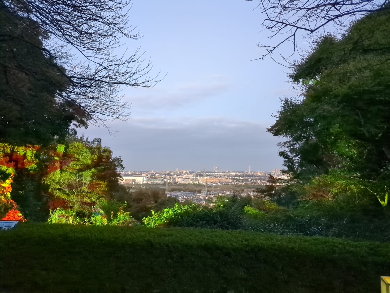 京王百草園　紅葉まつり2023