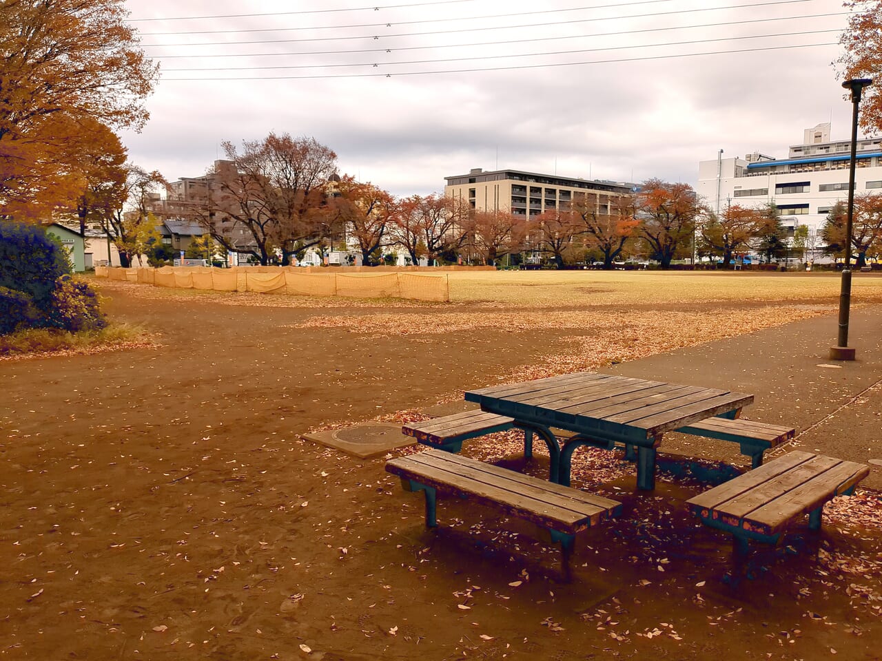 旭が丘中央公園　たきびまつり