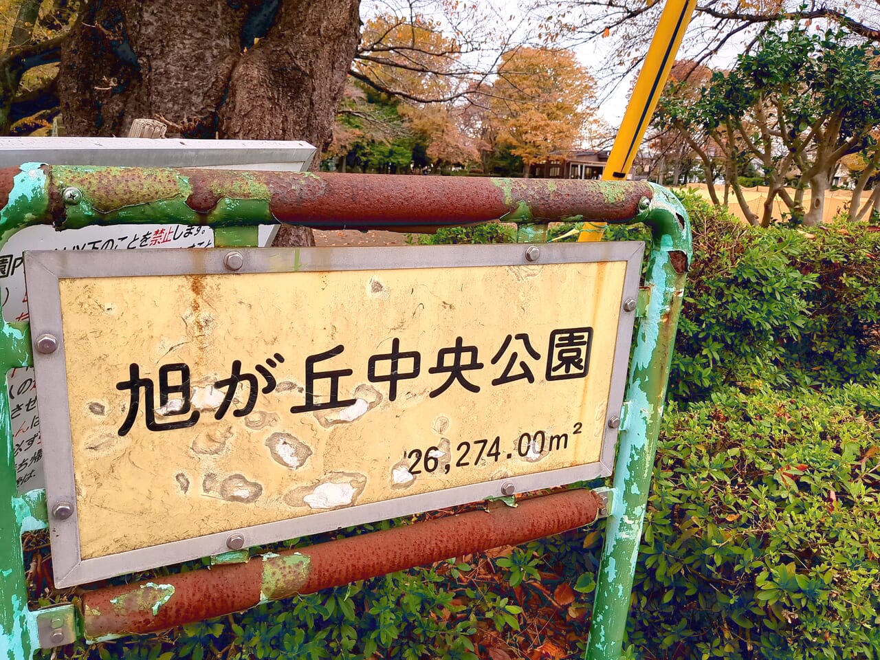 旭が丘中央公園　たきびまつり