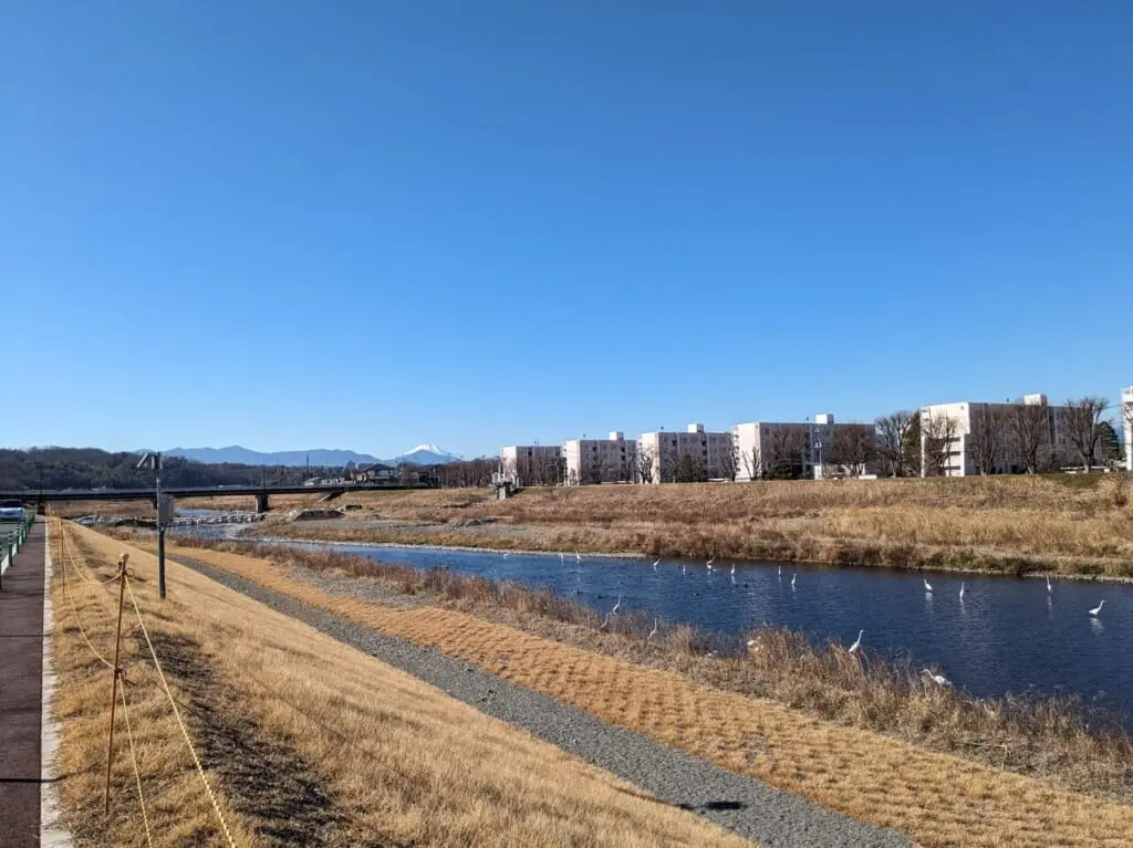 浅川