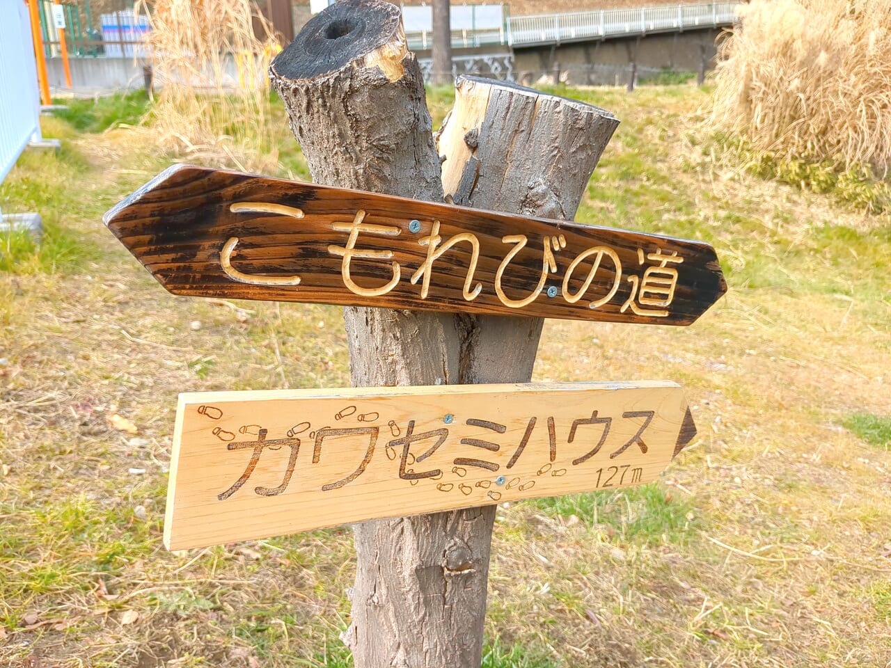 カワセミハウス