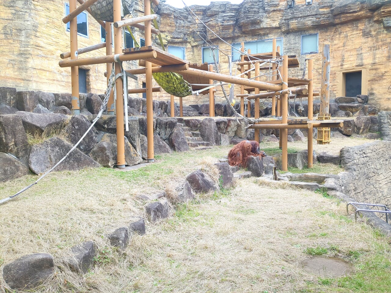 多摩動物公園