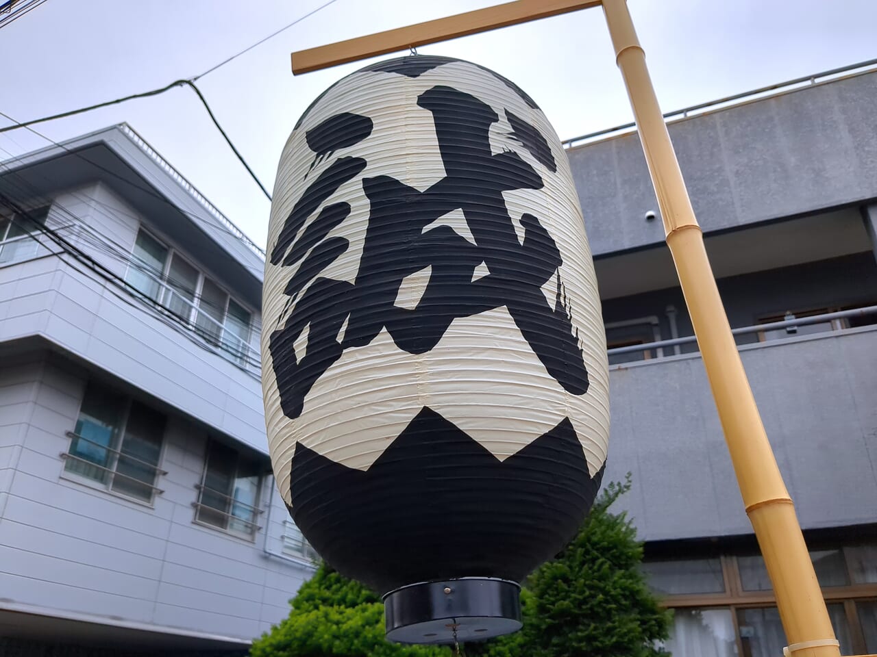 ひの新選組まつり2024