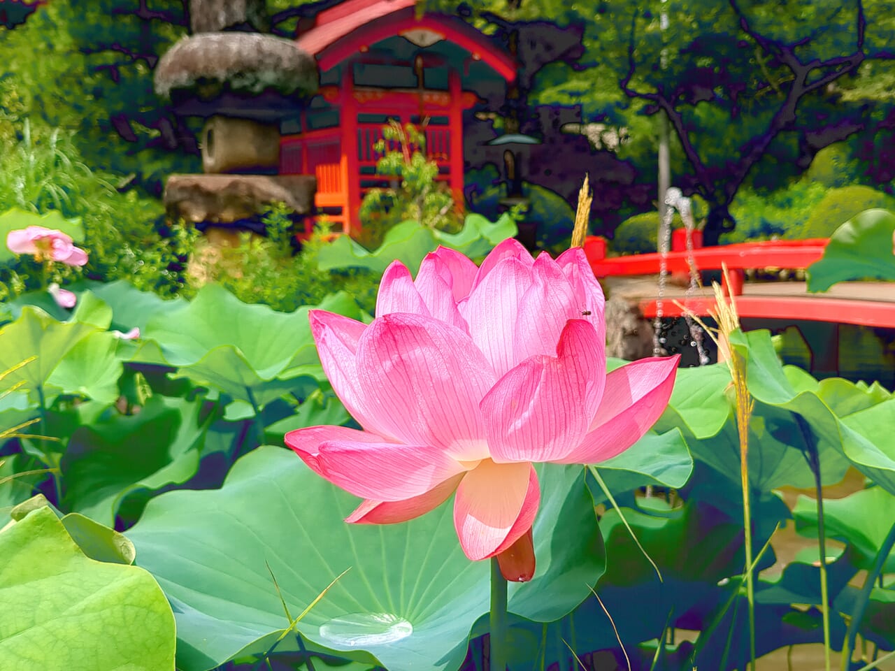 高幡不動尊