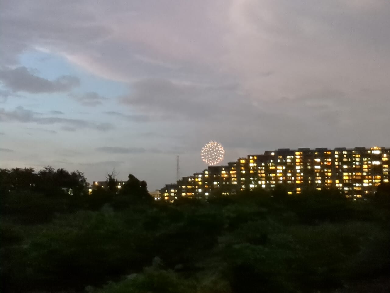 昭和記念公園花火2024