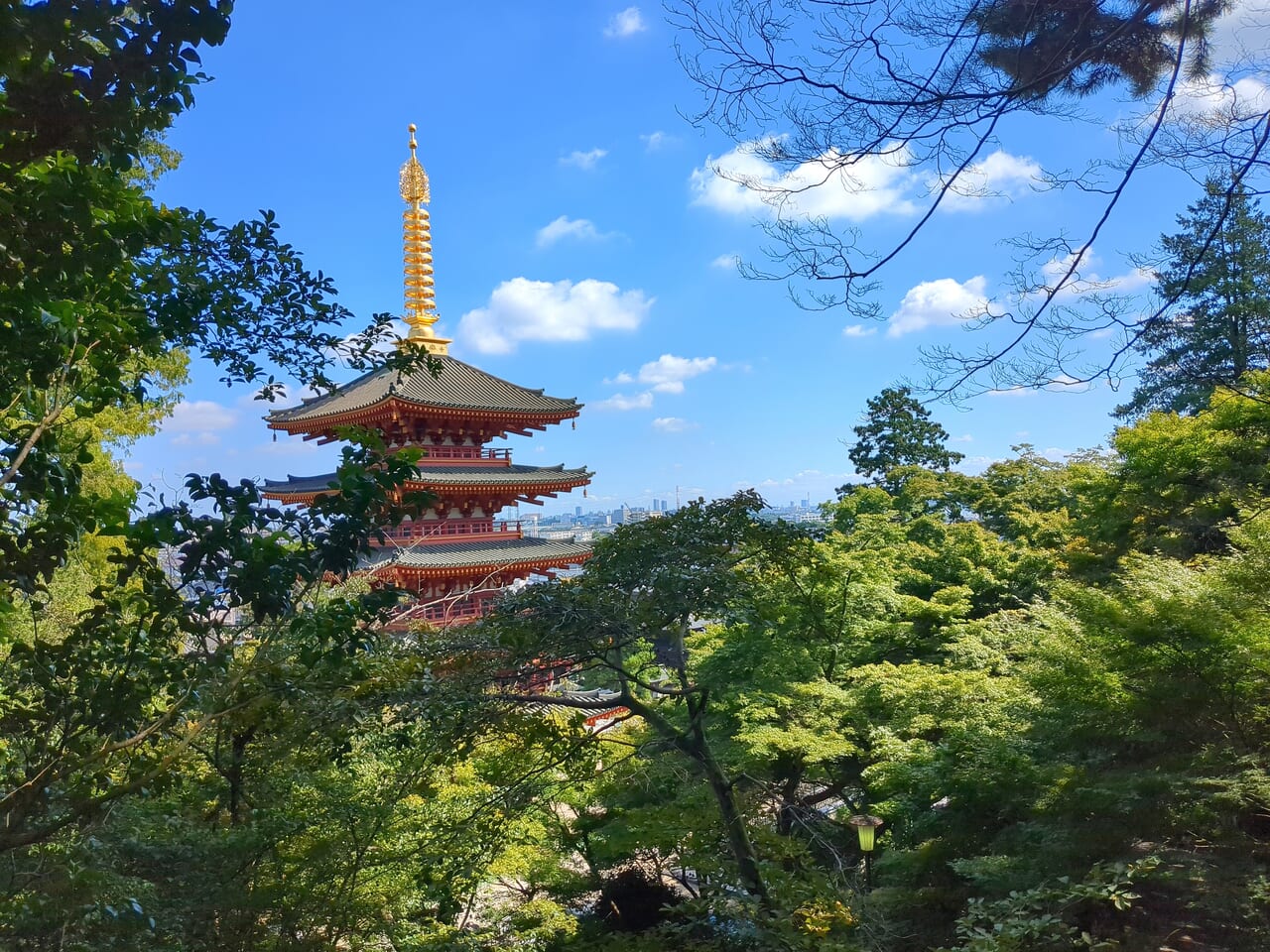 高幡不動尊　曼珠沙華