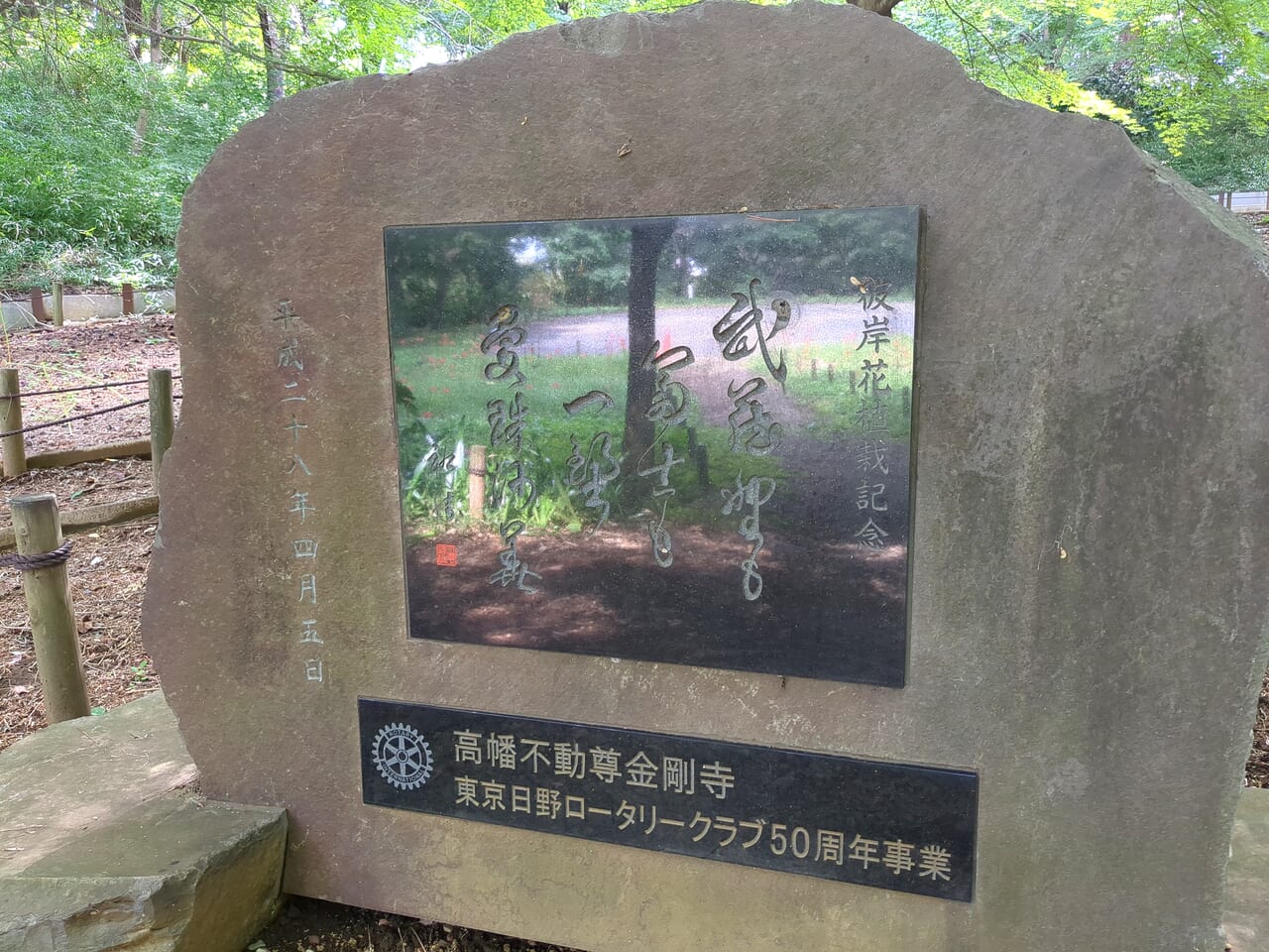 高幡不動尊　曼珠沙華