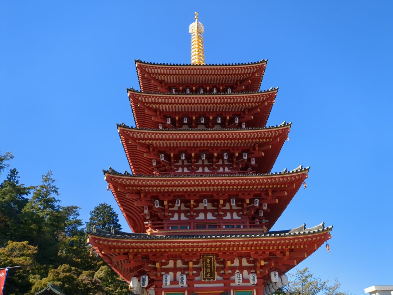高幡不動尊 菊まつり 2024