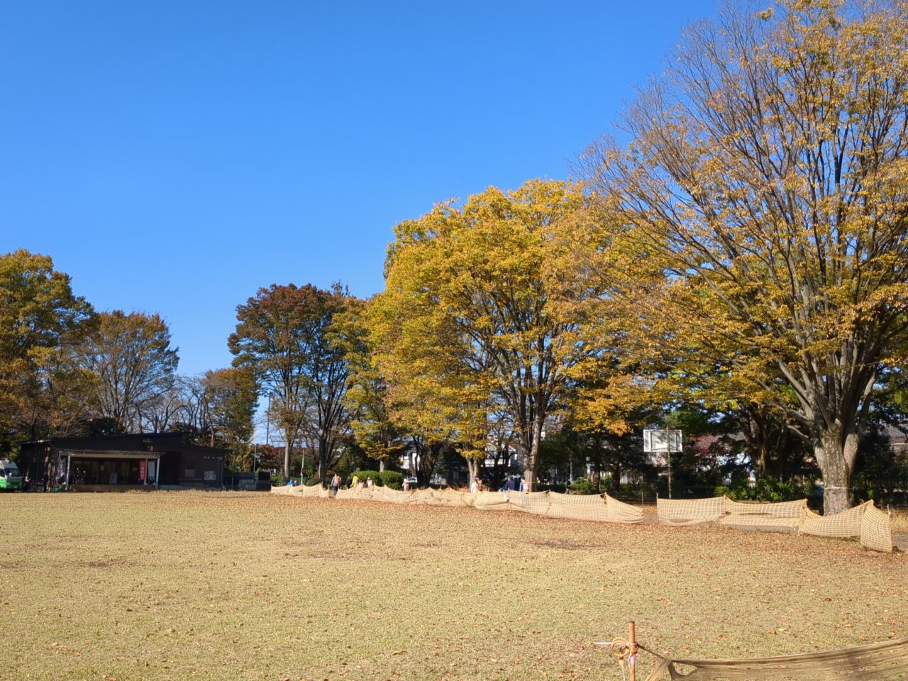 旭が丘中央公園　たき火祭