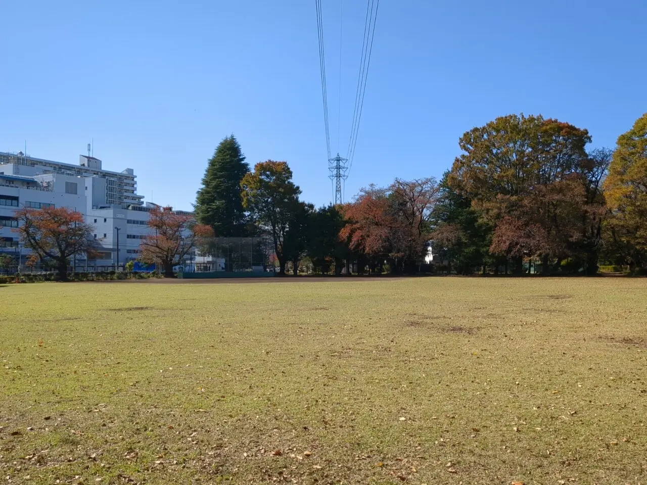 旭が丘中央公園　たき火祭