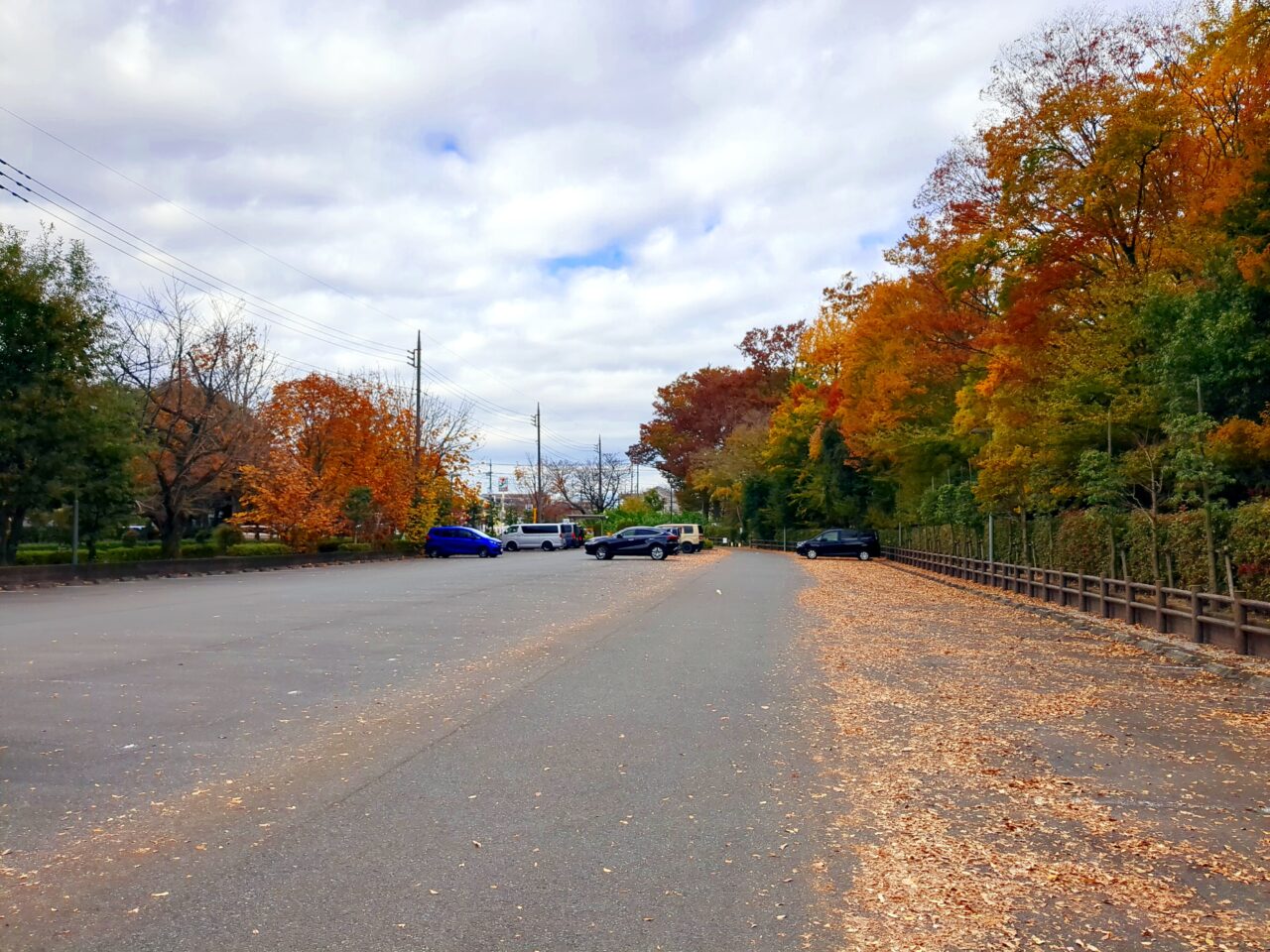 仲田の森　紅葉