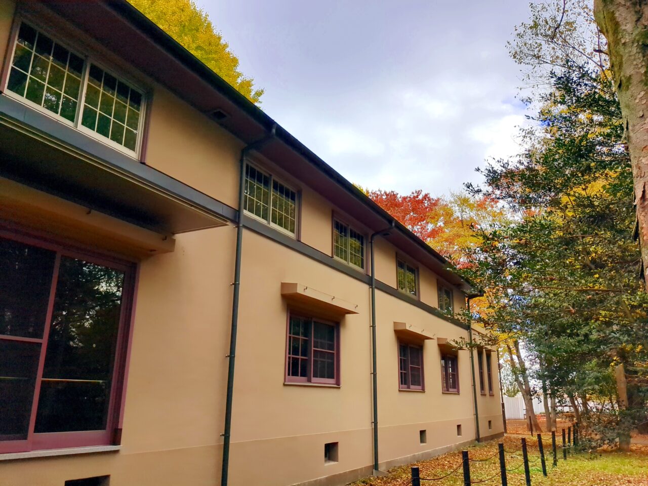 仲田の森　ふれあいホール　紅葉