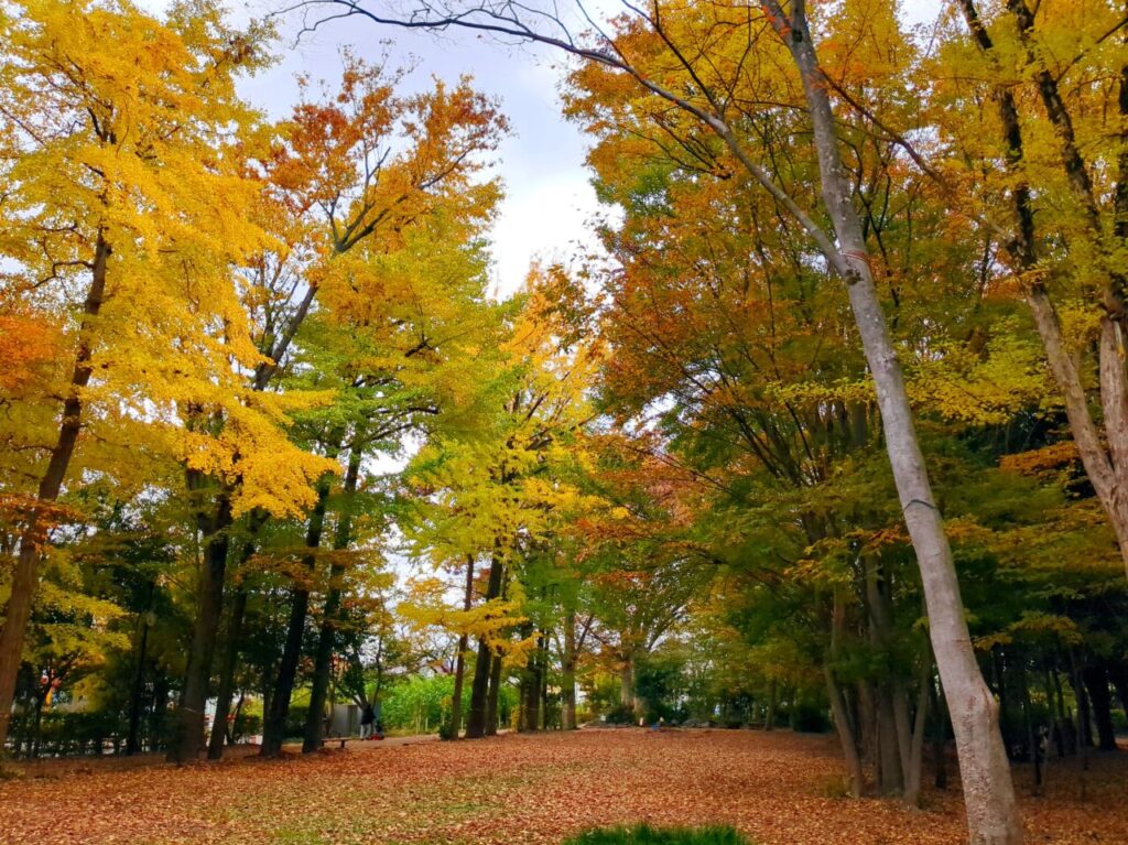 仲田の森　ふれあいホール　紅葉