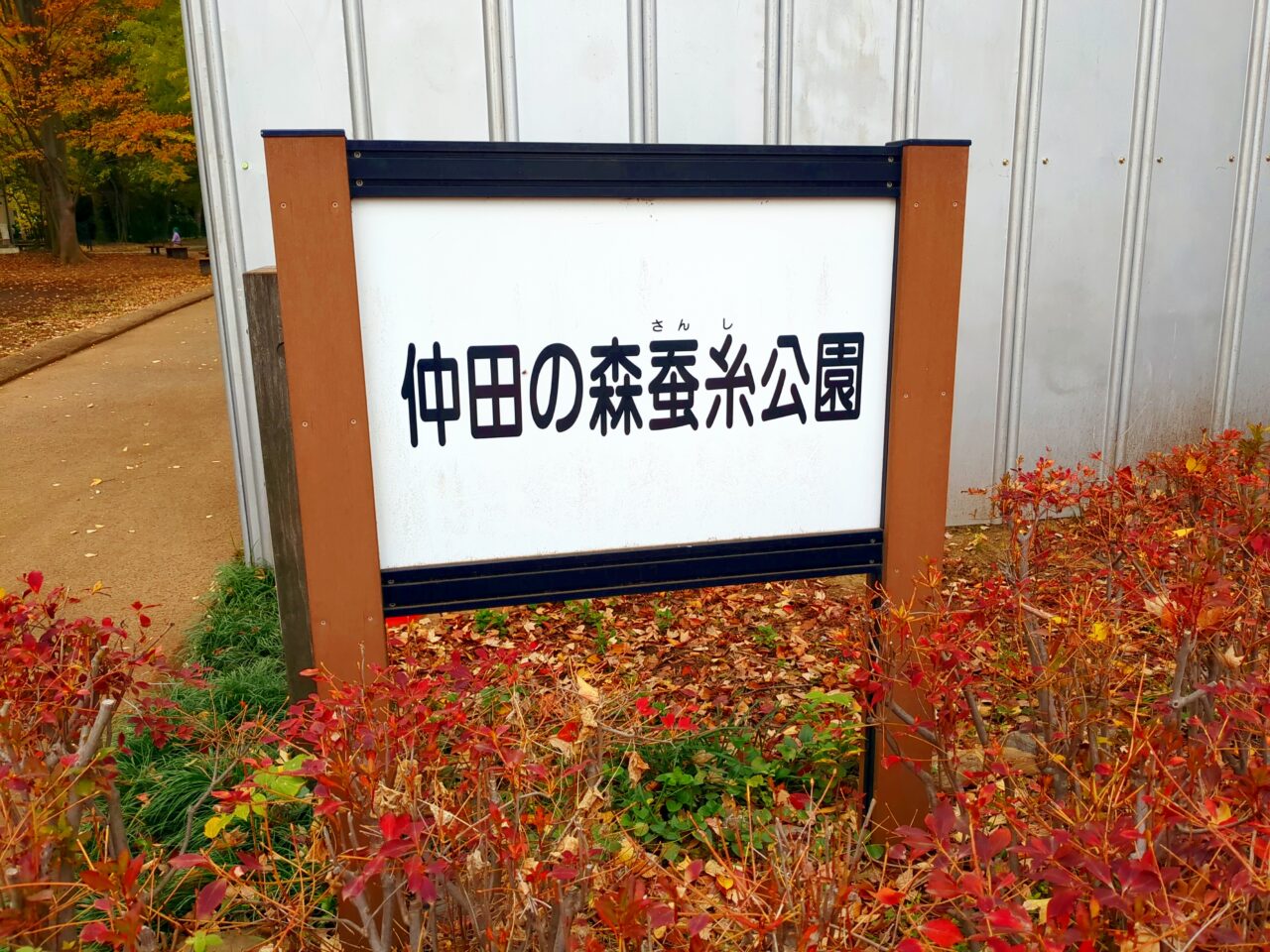 仲田の森　ふれあいホール　紅葉
