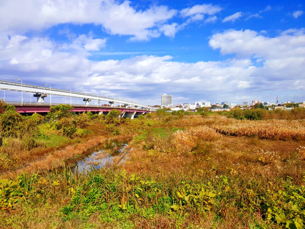 日野渡船場跡　立日橋