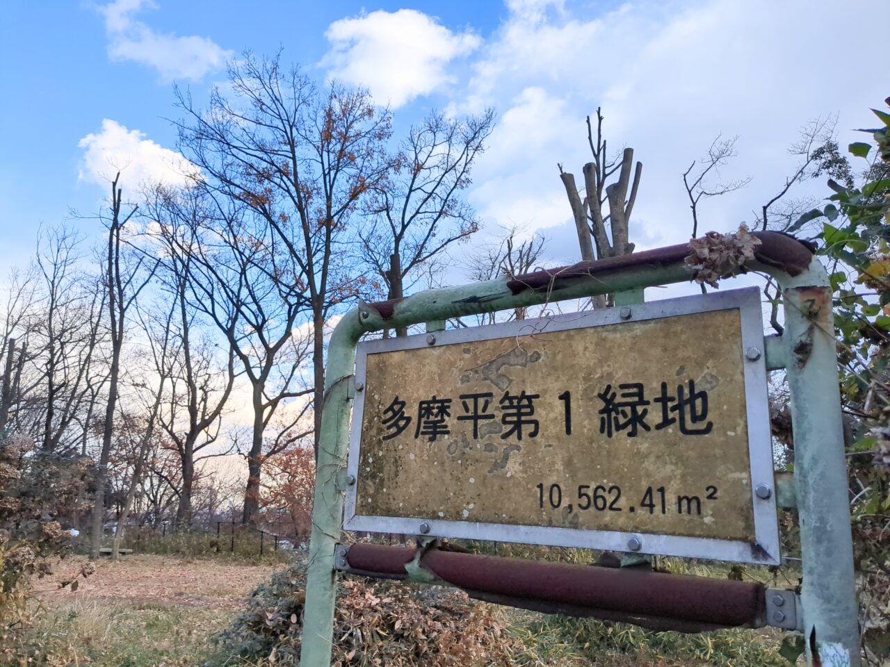 多摩平の緑地