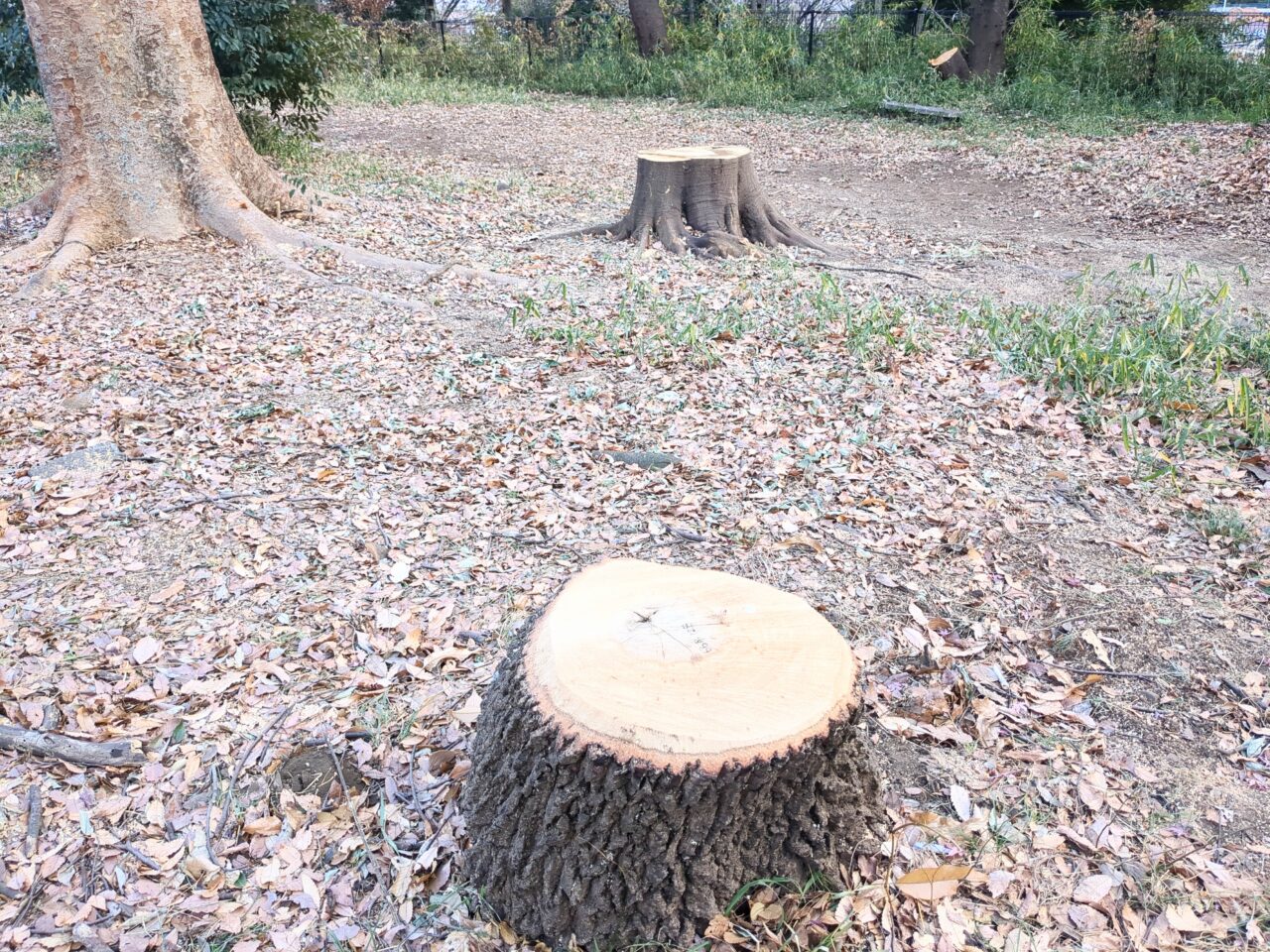 多摩平の緑地