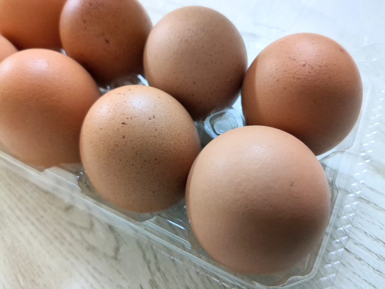 浅間とり牧場　平飼い卵