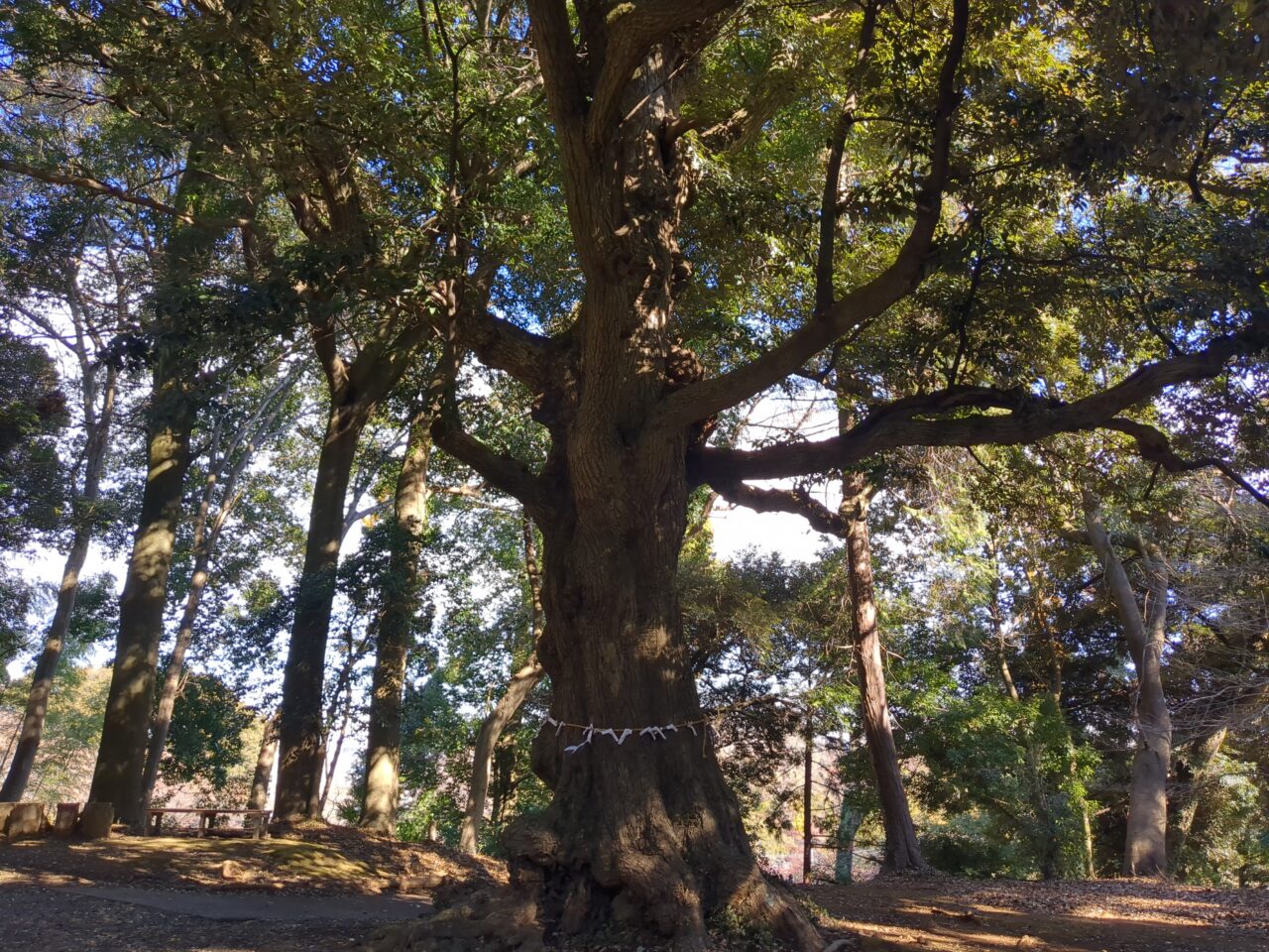 百草八幡神社