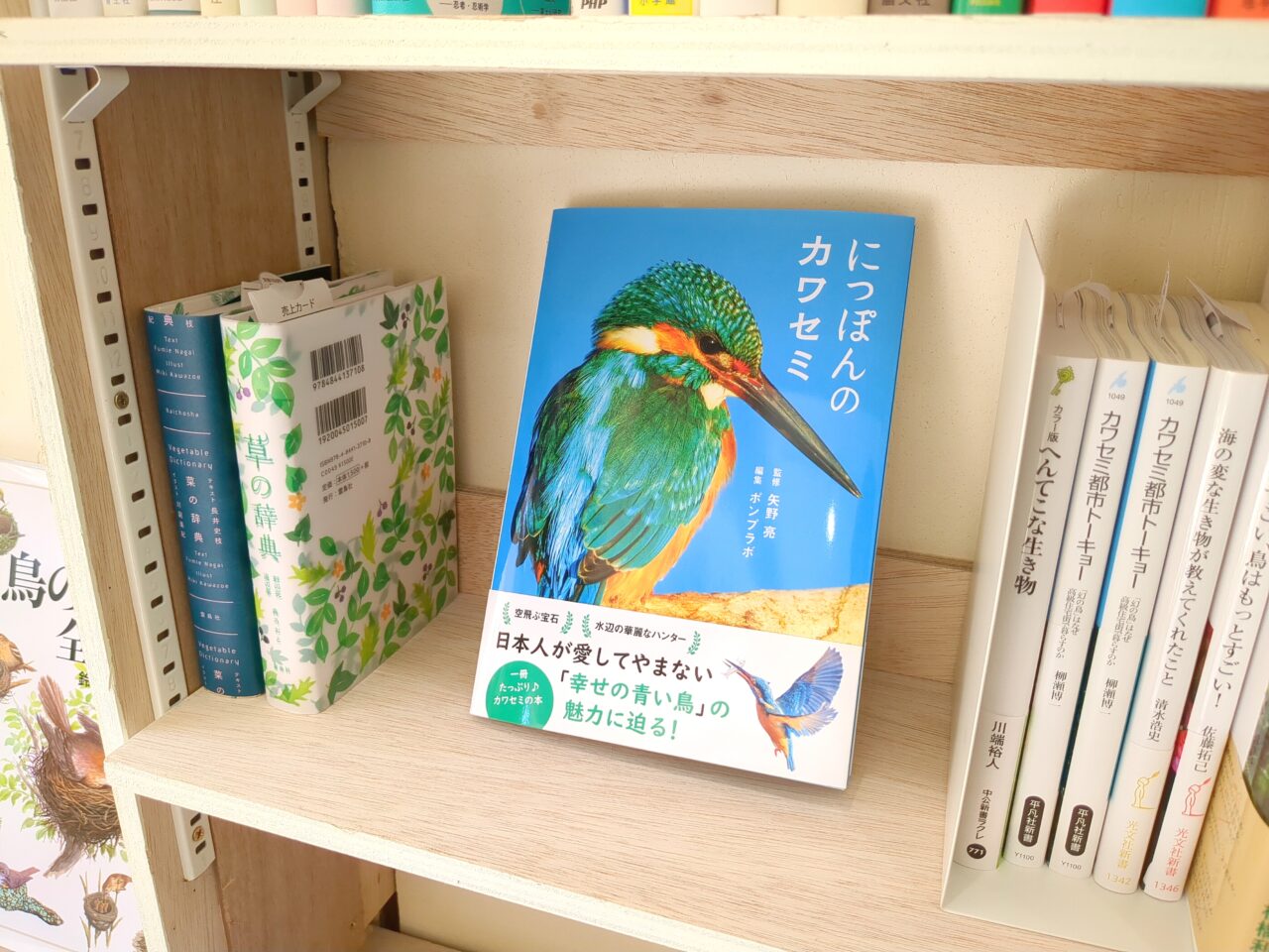本屋とキッチン　よりまし堂