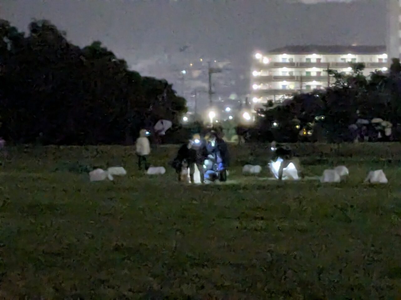 とよだの花火